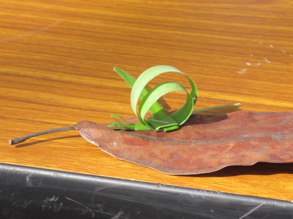 「第25回 環境なんでも見本市」出展者一覧