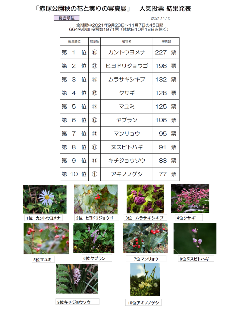 「赤塚公園秋の花と実りの写真展」人気投票結果発表（総合順位）