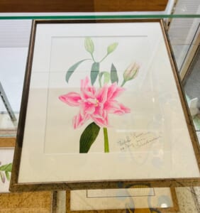 登録環境団体「植物画を描く会」