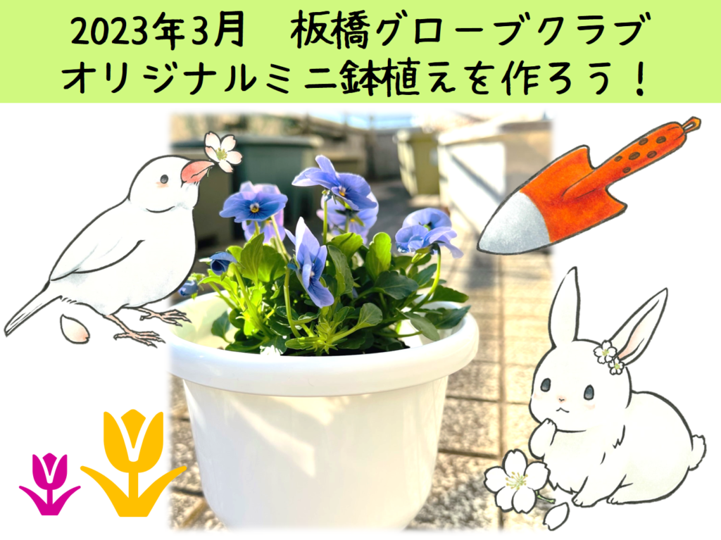 【申込終了】令和4年度グローブクラブ3月「オリジナルミニ鉢植えを作ろう！」