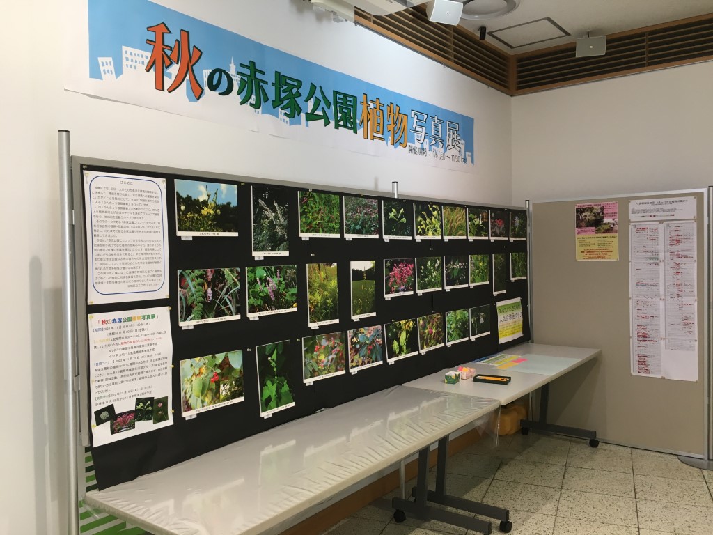 【終了】館内展示「秋の赤塚公園植物写真展」開催（2023年 11月 6日 ～ 30日）