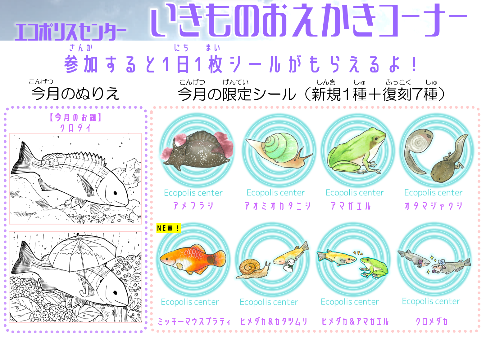 いきものおえかきコーナー2024年6月 ┃ 板橋区立エコポリスセンター