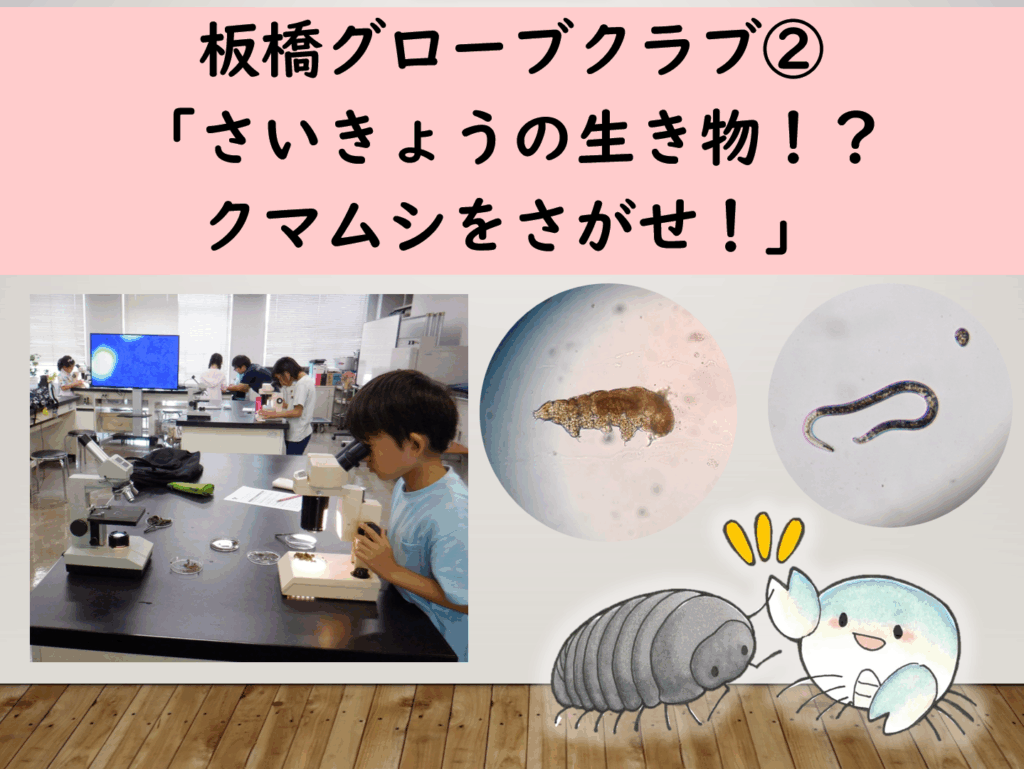 令和7年度グローブクラブ6月　②「さいきょうの生き物！？クマムシをさがせ！」