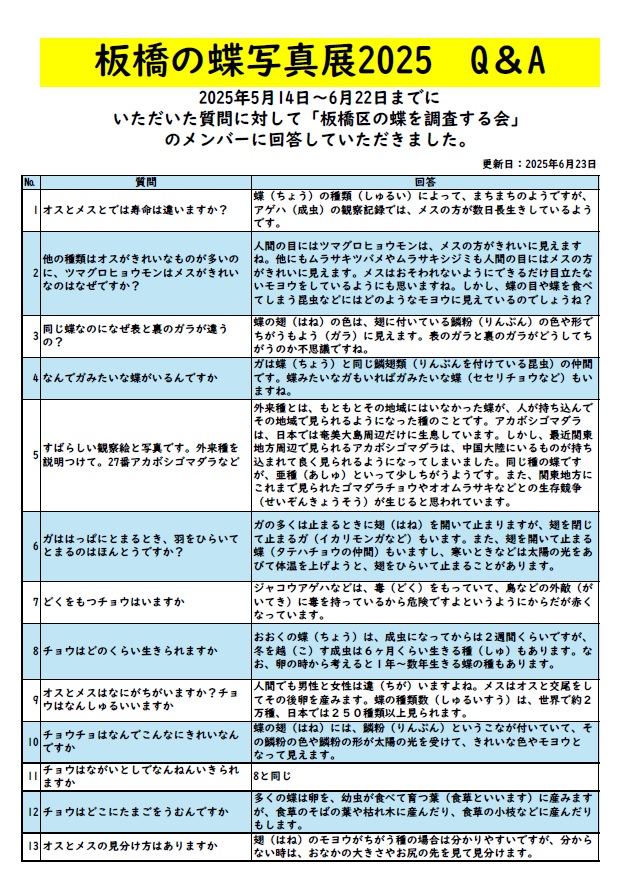 板橋の蝶写真展「板橋区で春から夏に見られる蝶ベスト10」