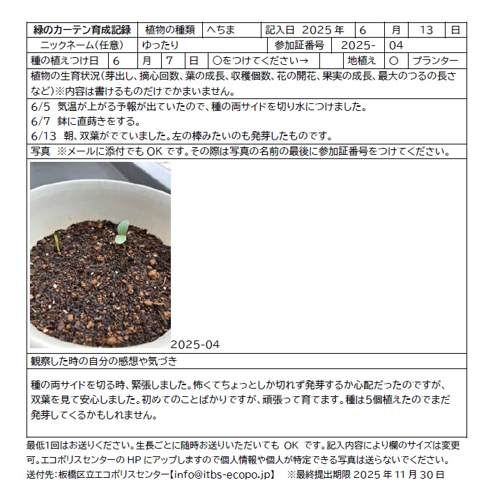 緑のカーテン育成講習会inエコポリスセンター　参加者の育成記録