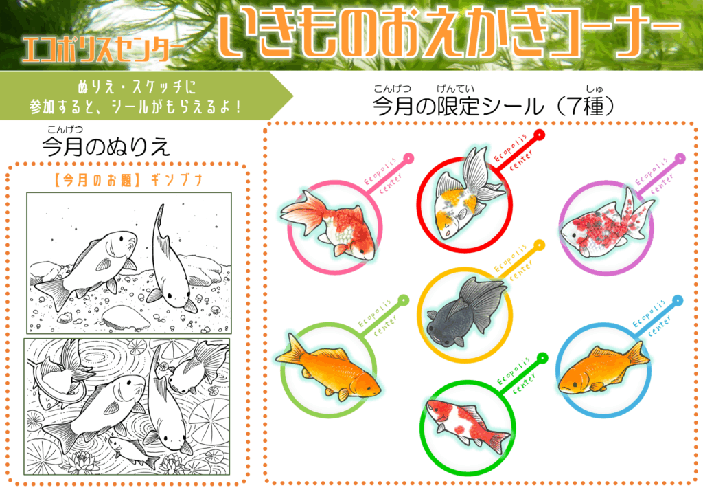 いきものおえかきコーナー2025年6月