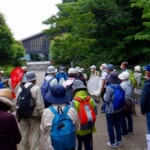 令和７年度かんきょう観察　春の蝶一斉調査会　報告