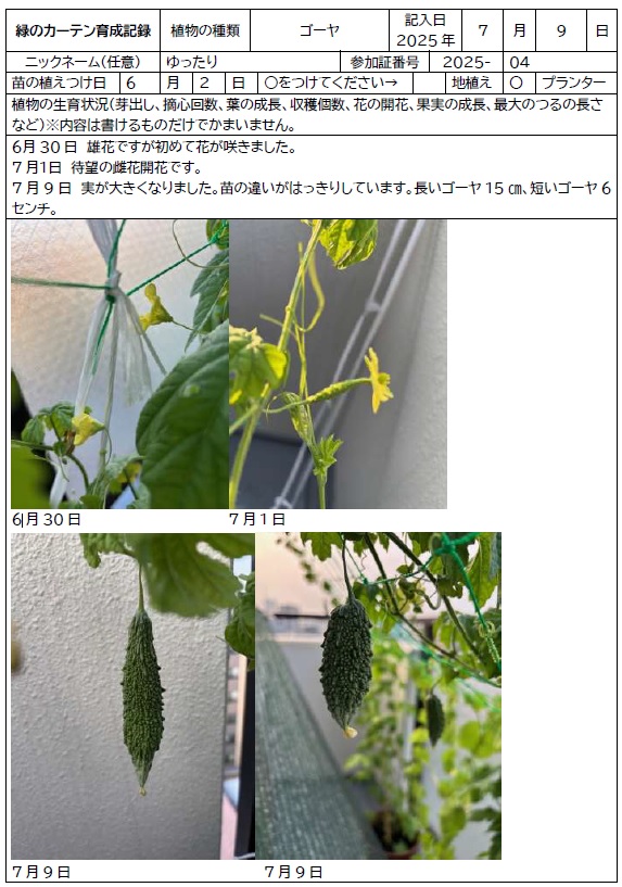 緑のカーテン育成講習会inエコポリスセンター　参加者の育成記録