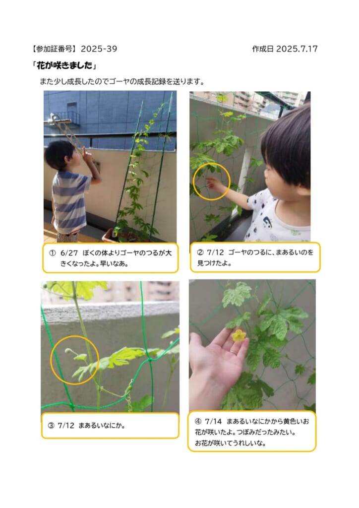 緑のカーテン育成講習会inエコポリスセンター　参加者の育成記録