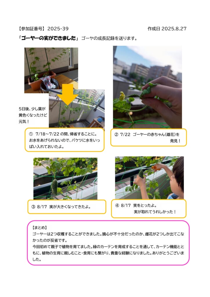 緑のカーテン育成講習会inエコポリスセンター　参加者の育成記録