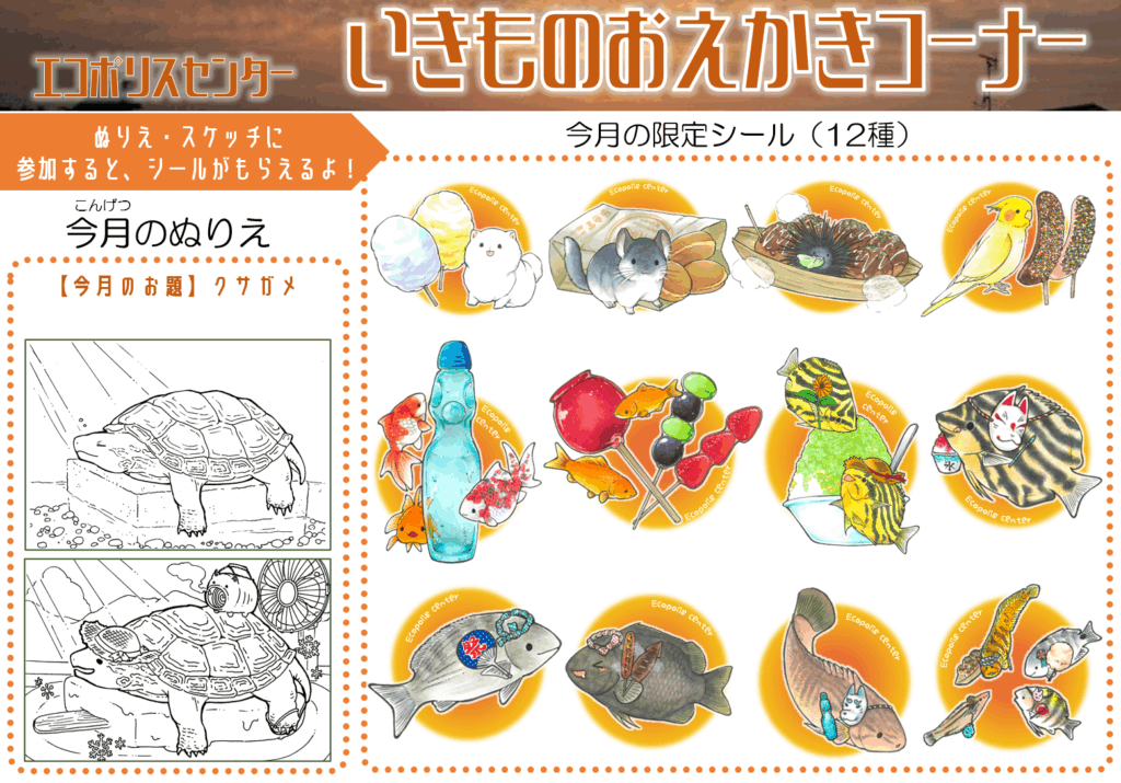 いきものおえかきコーナー2025年8月