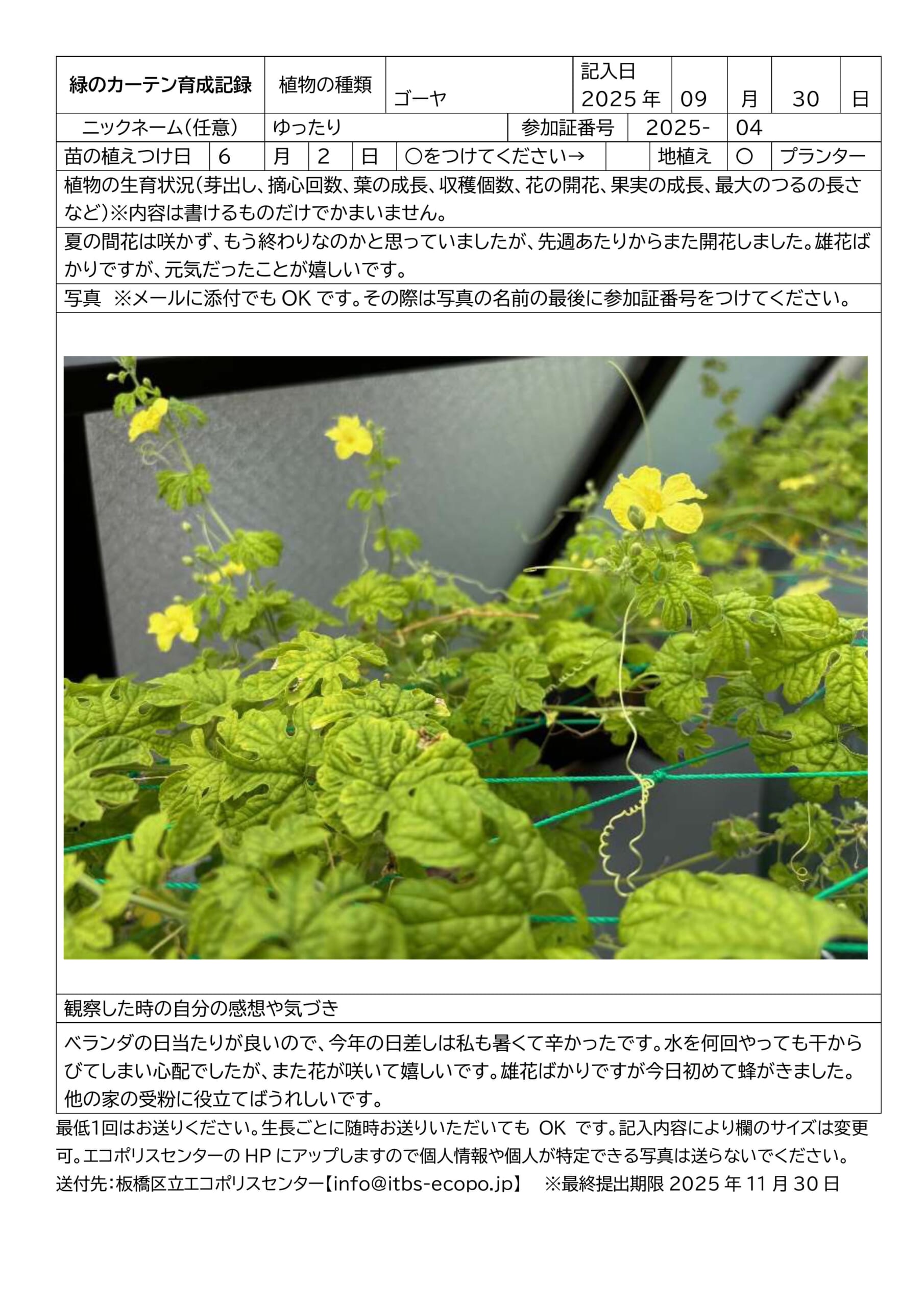 緑のカーテン育成講習会inエコポリスセンター　参加者の育成記録