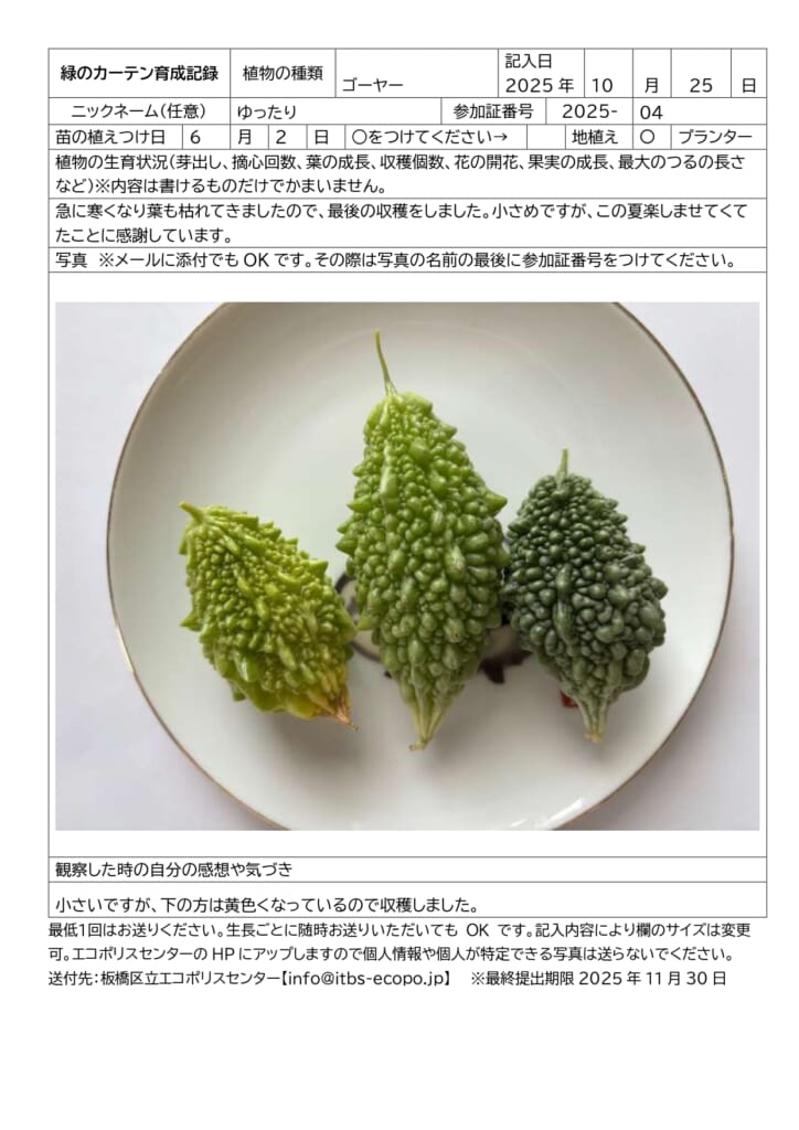 緑のカーテン育成講習会inエコポリスセンター　参加者の育成記録