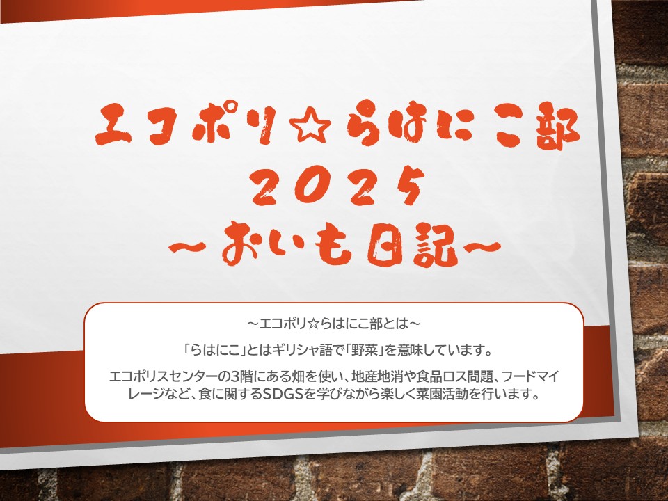 エコポリ☆らはにこ部2025～おいも日記～
