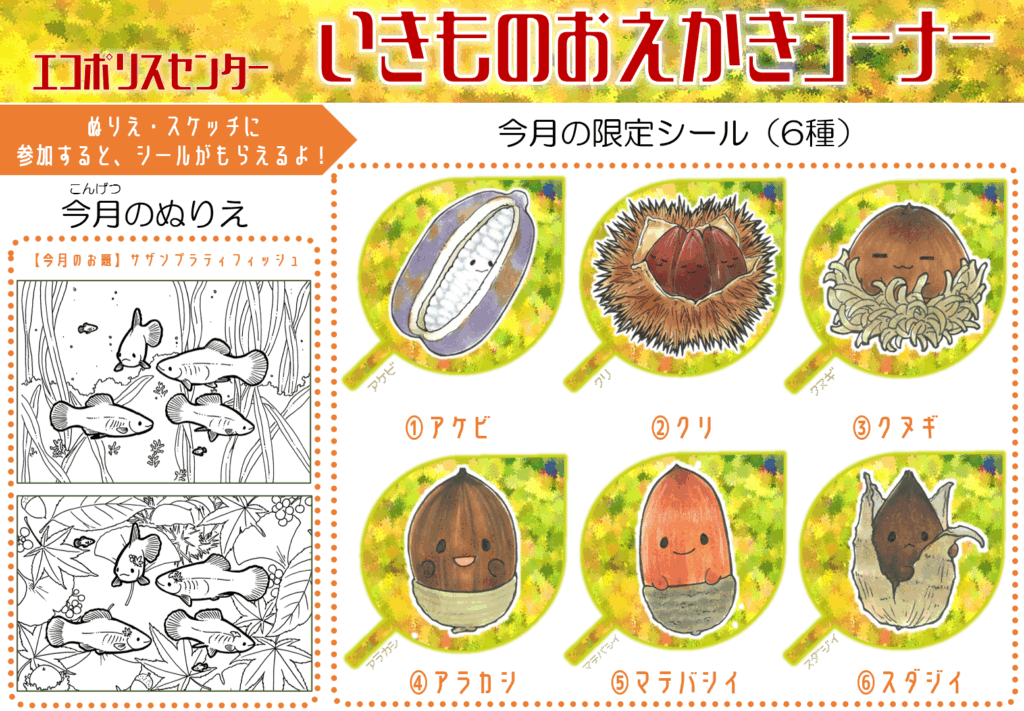 いきものおえかきコーナー2025年11月