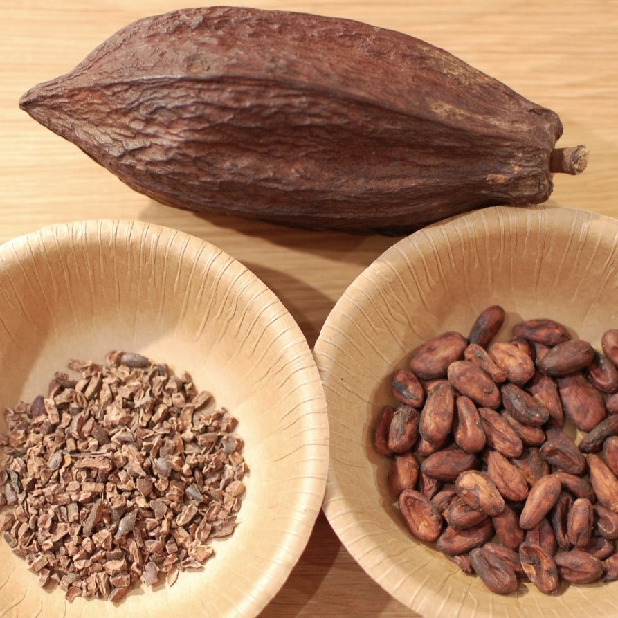 【予告】環境講座「ホンモノの手作りチョコレート」