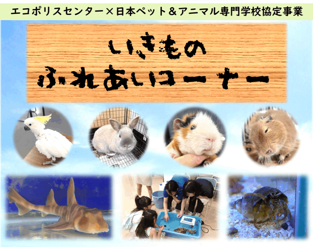 いきものふれあいコーナー