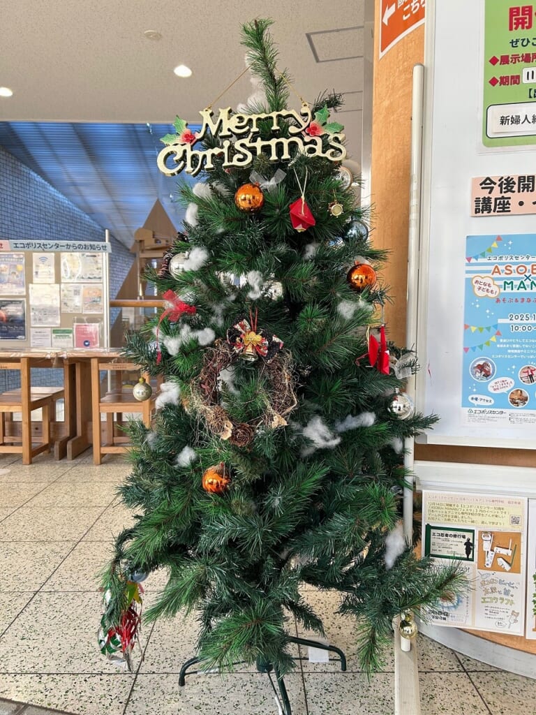 エコポリスセンターを彩る植物紹介🥀2025