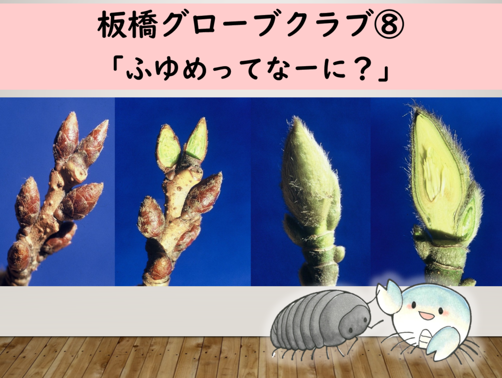 令和7年度グローブクラブ2月⑧「ふゆめってなーに？」