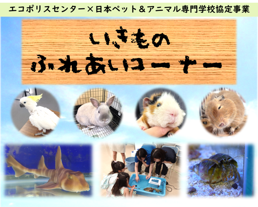 【予告】特別開催!いきものふれあいコーナー
