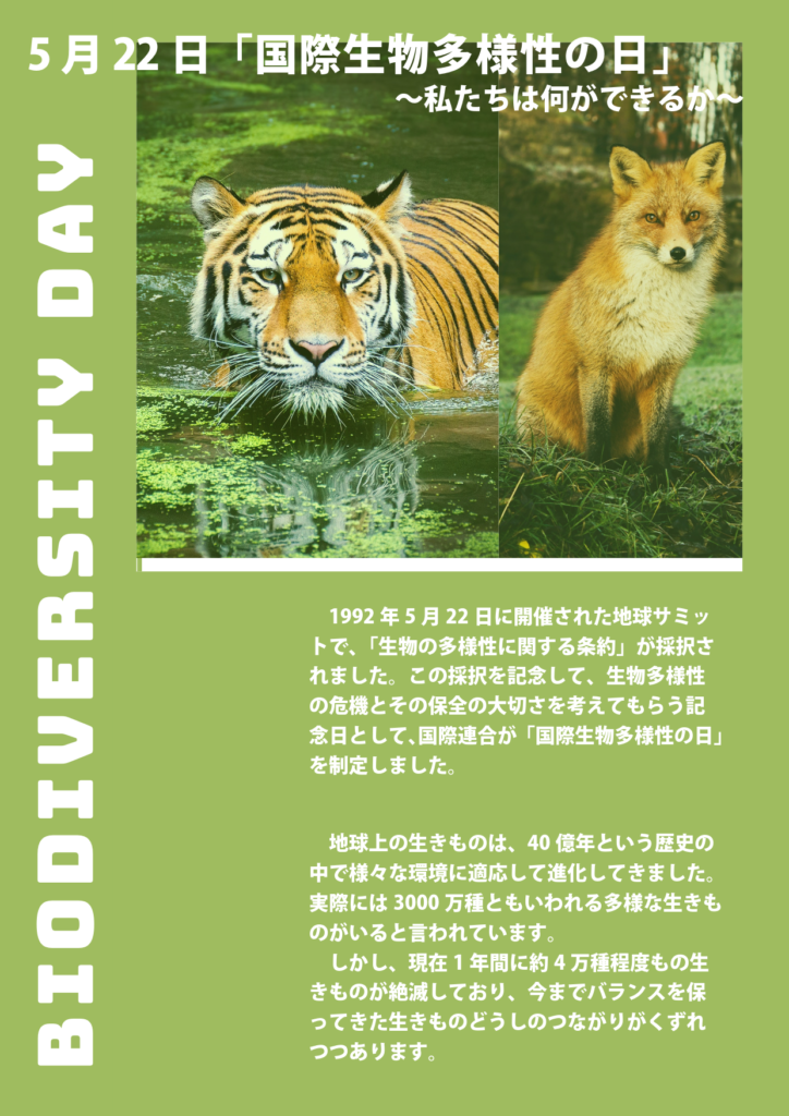 特別展「国際生物多様性の日」　