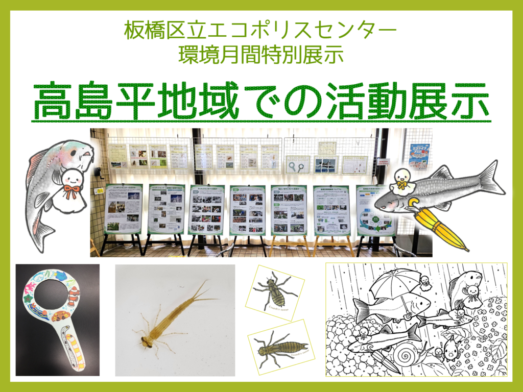 高島平図書館展示「高島平地域での活動展示」