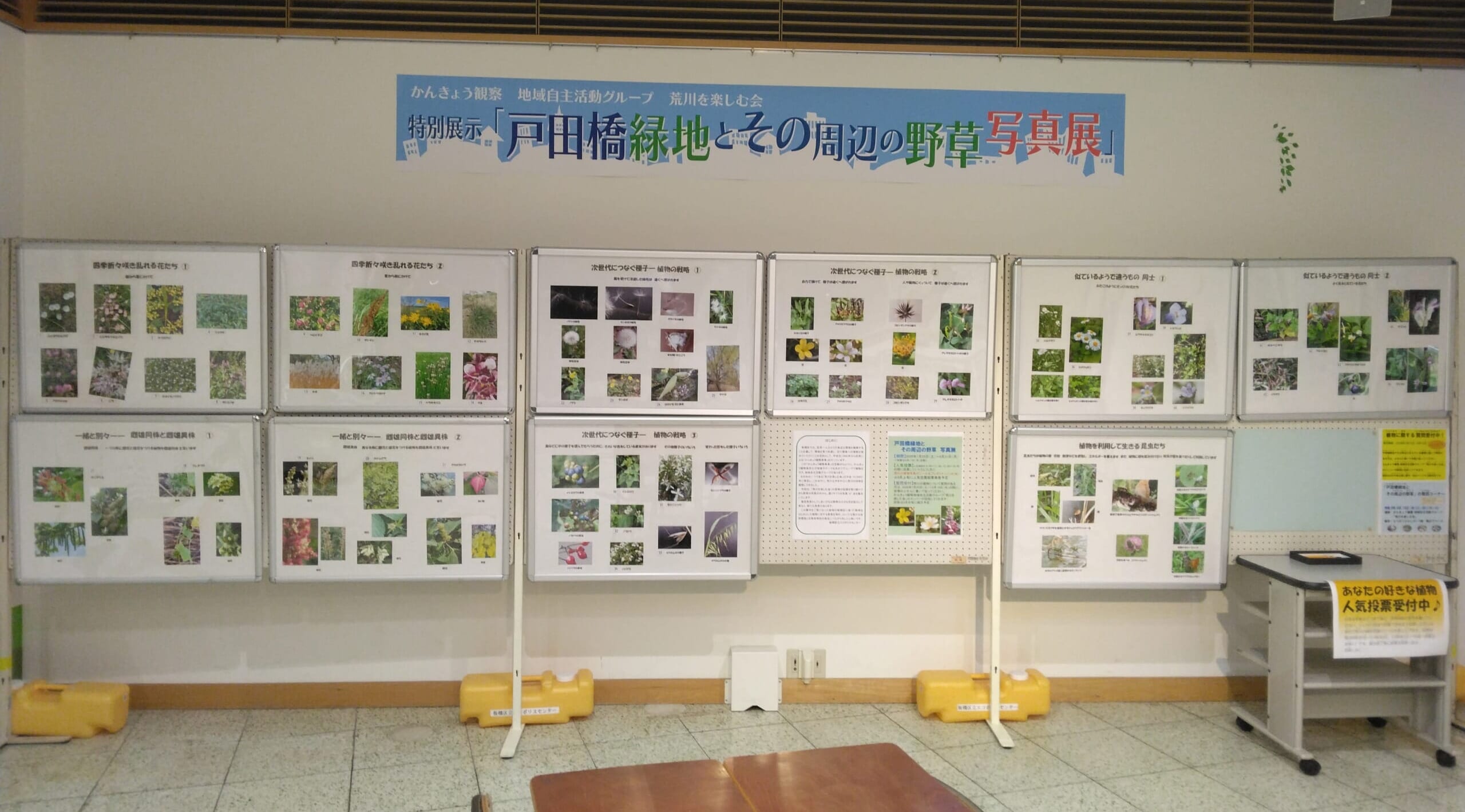 特別展示「戸田橋緑地とその周辺の野草写真展」質問コーナーQ＆A