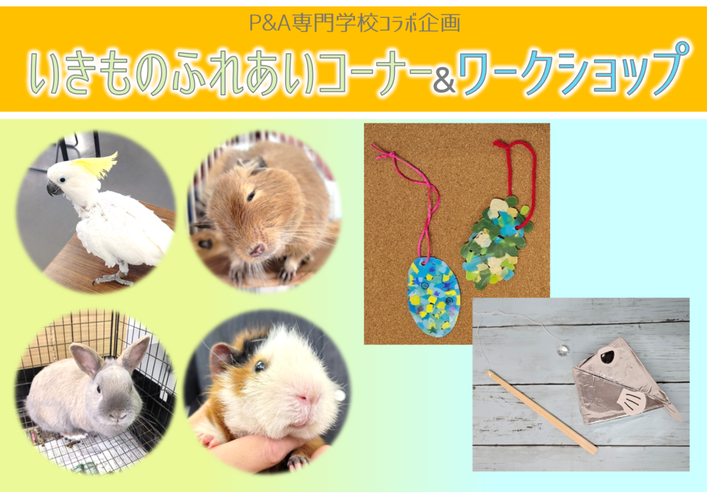 【予告】P&A専門学校コラボ企画　ワークショップ＆いきものふれあいコーナー