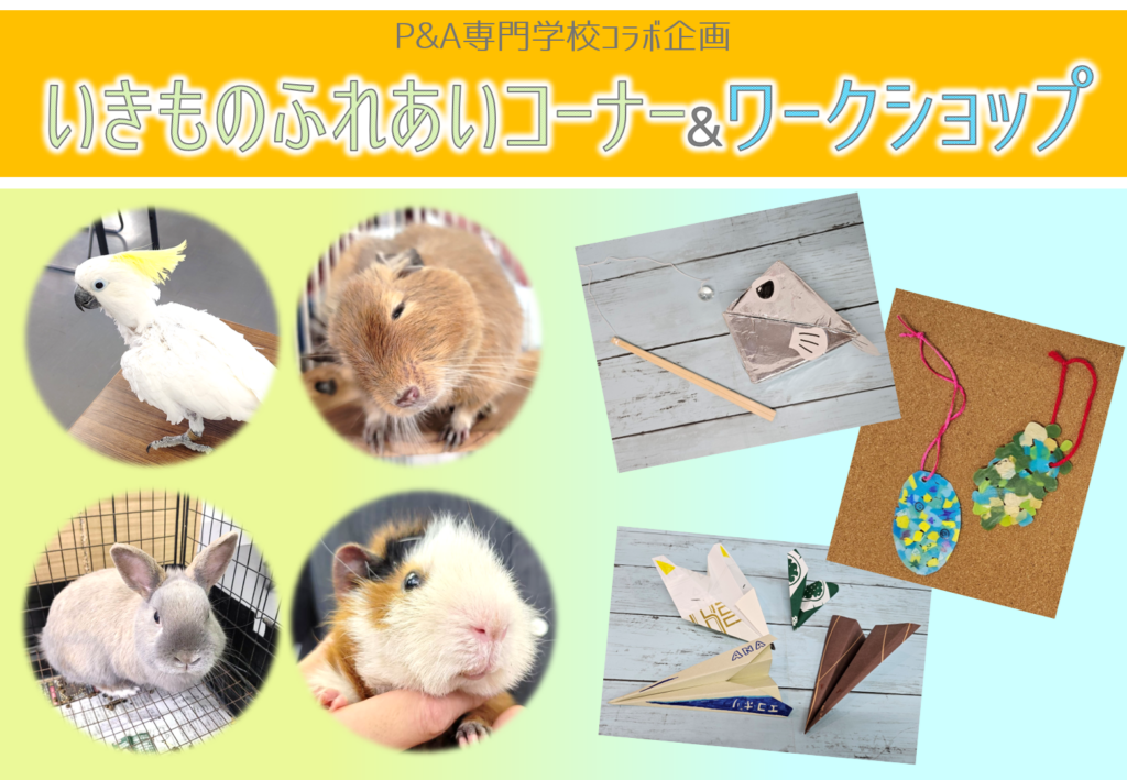 【予告】P&A専門学校コラボ企画　いきものふれあいコーナー&ワークショップ